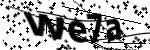 Captcha text